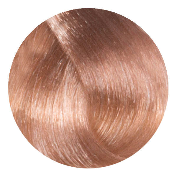 1SB Corrector