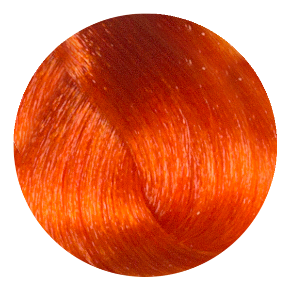 Fresh Orange